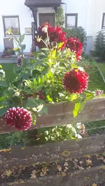 20181022_163137.webp