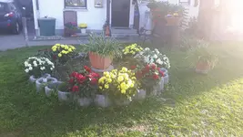 20181022_163127.webp