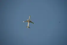 DSC07120.webp
