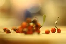 0M3A2504.webp