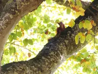 DSCF1888.webp