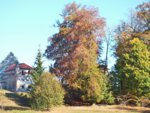 DSCF1930.JPG
