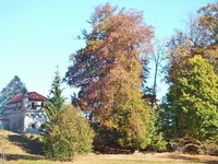 DSCF1930.webp