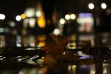 0M3A2593.webp