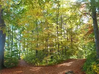DSCF1924.webp