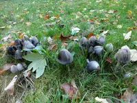 DSCF1927.webp