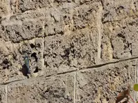 DSCF1940.webp