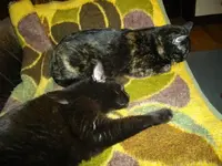 IMGP6954.webp