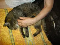 IMGP6955.webp