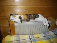 IMGP6956.webp