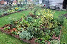 Garten im Herbst 2.webp