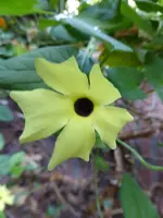 P1110279Susanne.webp