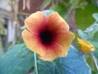 P1110280Susanne.webp