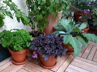 P1040851.webp