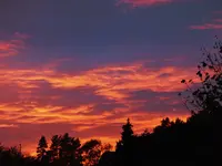 DSCF1941.webp