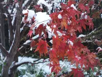 DSCF1943.webp
