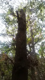 20181021_152120.jpg
