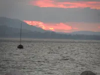 SAM_0417.webp