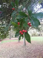 20181029_121521.webp