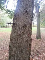 20181029_121540.webp