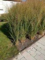 IMG-20181031-WA0004.jpg