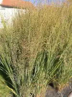 IMG-20181031-WA0005.webp
