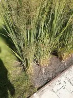 IMG-20181031-WA0006.jpg