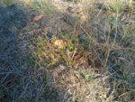 IMG_20181031_105954.jpg
