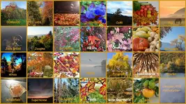 Oktober 2018 Herbstfarben  (1).jpg