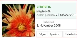 amneris.webp