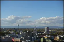 c021.webp
