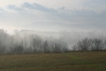 IMG_2204a.jpg
