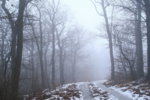 IMG_6377a.jpg