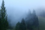 IMG_9477a.jpg