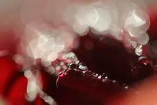 0M3A2689.webp