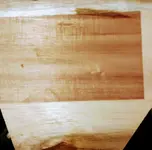 IMG_20181104_162635992~2.webp IMG_20181104_162635992~2.webp