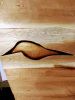 IMG_20181104_162856753~2.webp IMG_20181104_162856753~2.webp