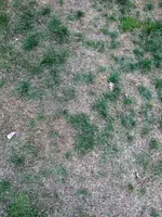 IMAG0491.webp