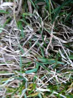 IMAG0494.webp