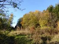 P1110308.webp