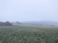 DSCF1973.webp