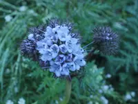 DSCF1966.webp