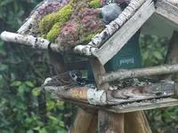 DSCF1958.webp