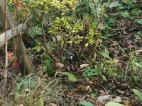 DSCF1954.webp
