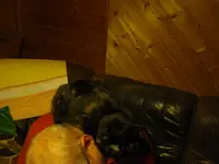 IMGP7002.webp
