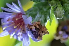 image004.webp