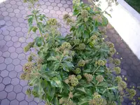 06_11_2018 (1).webp