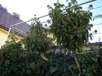 06_11_2018 (6).webp