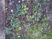 06_11_2018 (14).webp