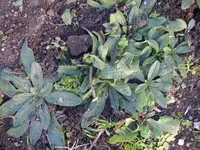06_11_2018 (15).webp